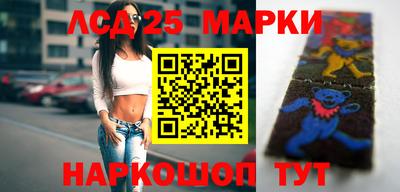 гашик Кандалакша