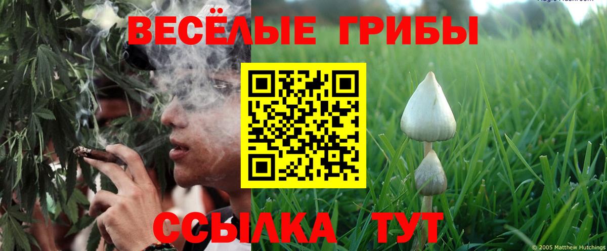 Галлюциногенные грибы Psilocybe  Вход с VPN  Шадринск  Псилоцибиновые грибы Psilocybine cubensis 